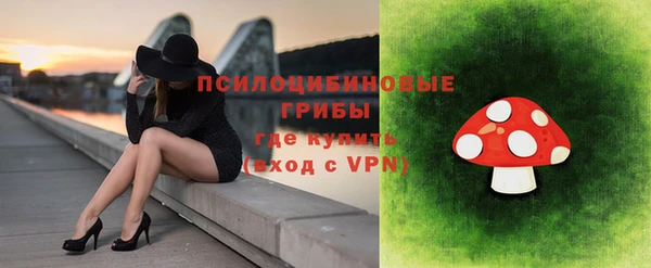 бошки Алексин