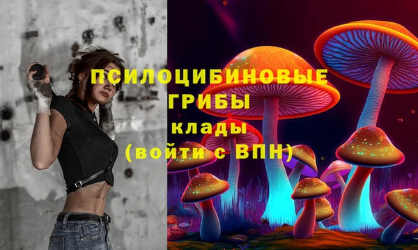 бошки Алексин