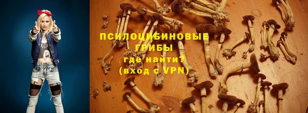 бошки Алексин