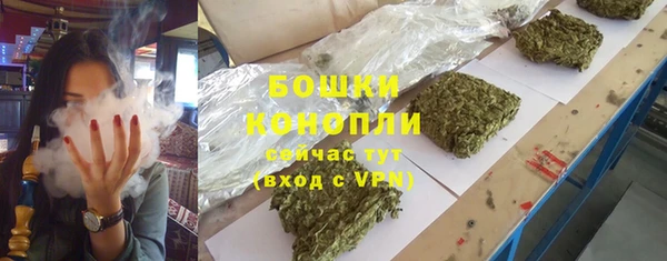бошки Алексин
