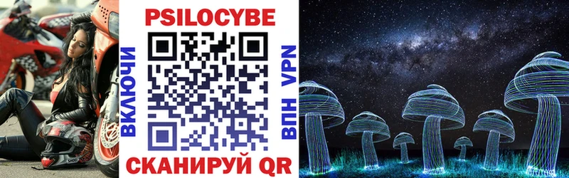 Галлюциногенные грибы Psilocybe  Гусь-Хрустальный 